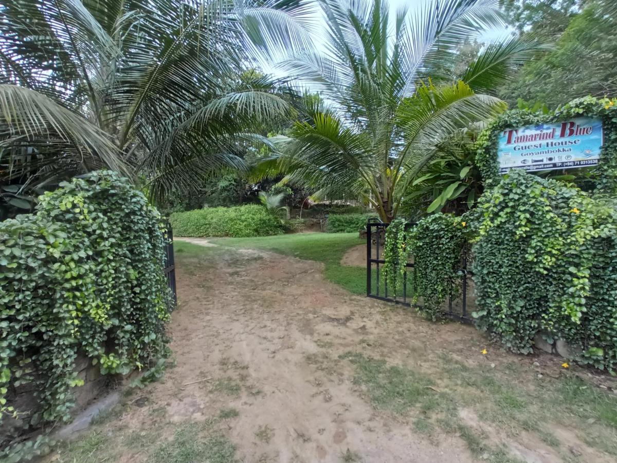 Tamarind Blue Hotel Tangalle Kültér fotó